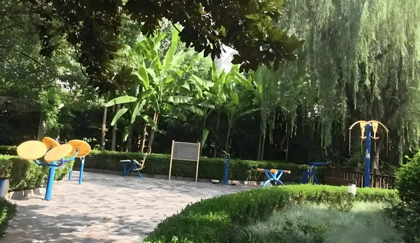 瑾医